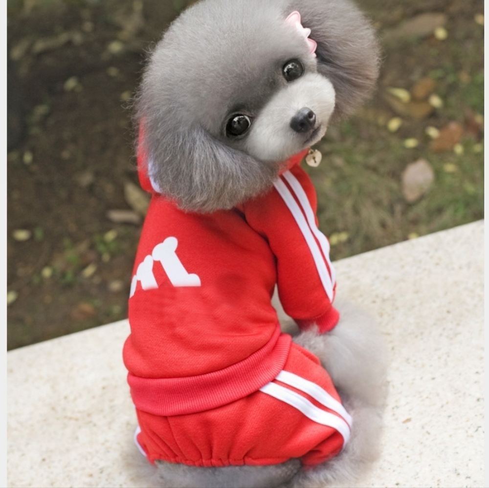 Adidog Pet (Buy Now) Hoodie and Pants Set-Colors-Red,Yellow & Black‎ NIP